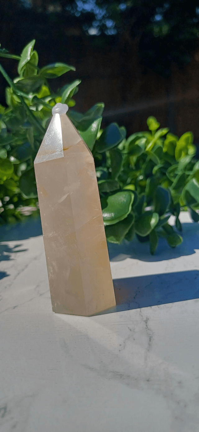 Dentritic Golden Healer