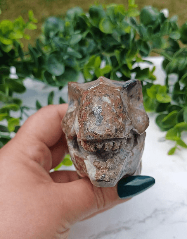 Money Agate T-Rex Dinosaur Crystal | Natural Stone Carved and Polished Tyrannosaurus Rex Head 