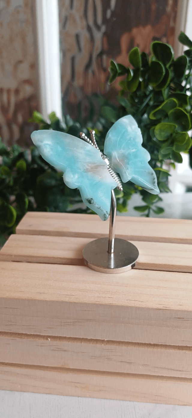 Caribbean Calcite Butterfly Wings on Silver Stand