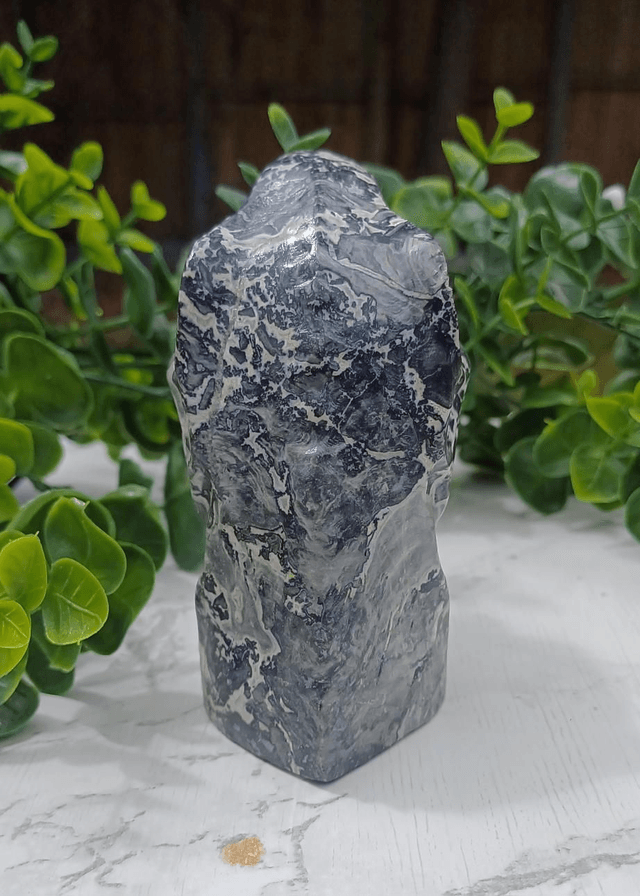 Picasso Jasper  T-Rex Dinosaur Crystal | Natural Stone Carved and Polished Tyrannosaurus Rex Head