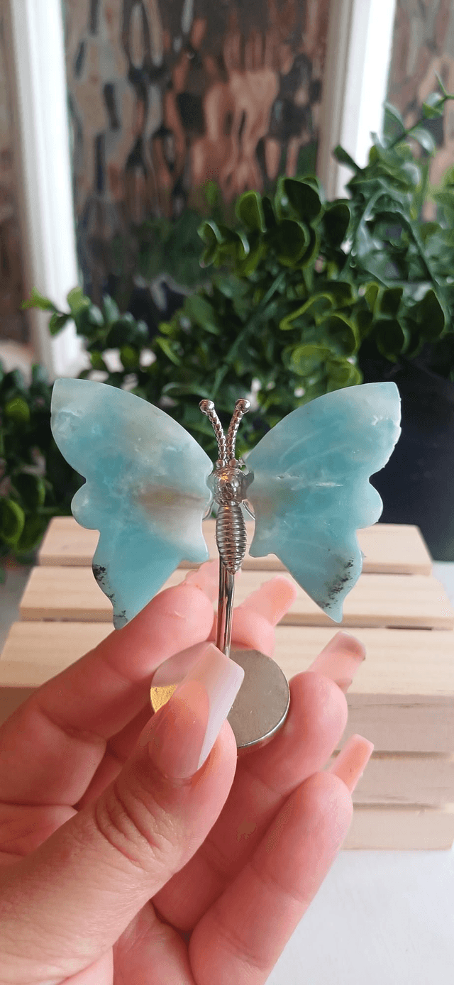 Caribbean Calcite Butterfly Wings on Silver Stand