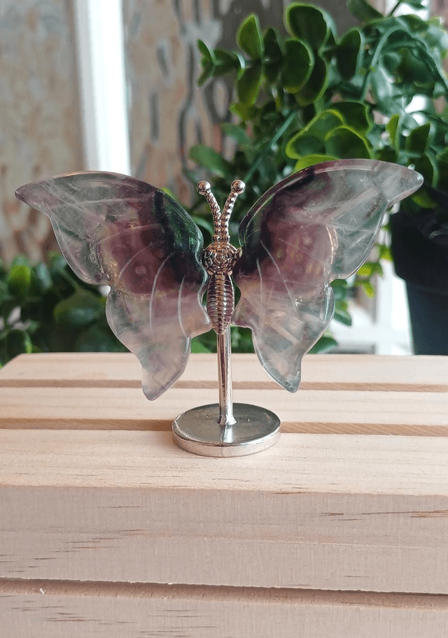 Fluorite Butterfly Wings on Silver Stand – Dark & Light Fluorite 