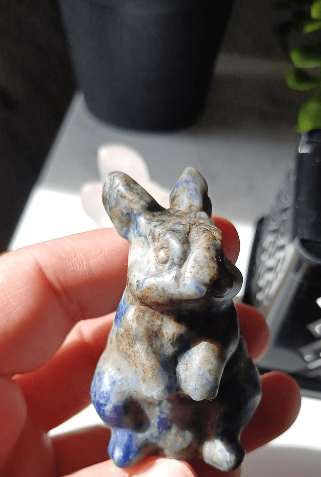Scar Sodalite Bunny Rabbit