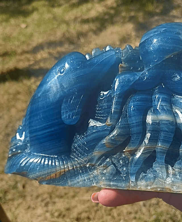 Blue Onyx Octopus, Dolphin, Fish Under the Sea