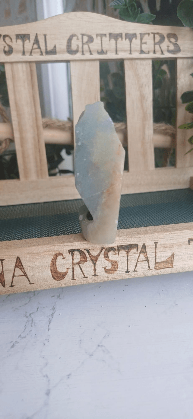 Tidal - Crystal Critter