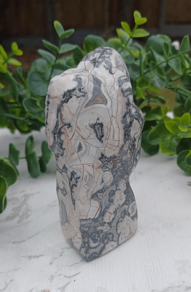 Picassso Jasper T-Rex Dinosaur Crystal | Natural Stone Carved and Polished Tyrannosaurus Rex Head no.2