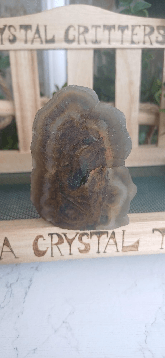 Oranda  - Crystal Critter