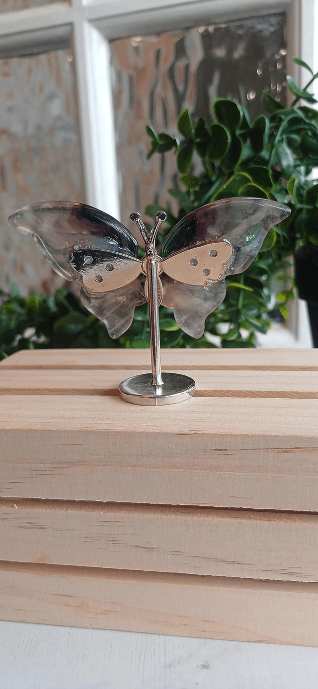 Fluorite Butterfly Wings on Silver Stand – Dark & Light Fluorite 