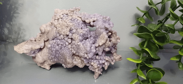 Grape Agate Cluster (276g)