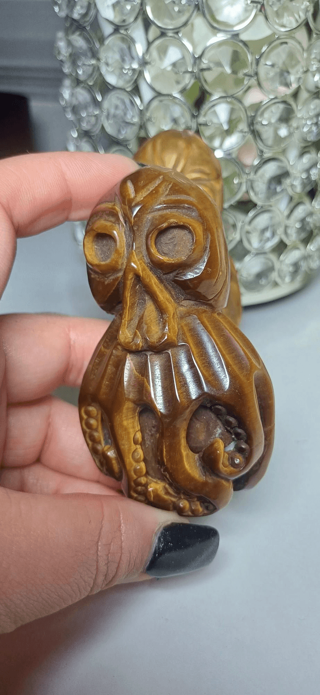 Tiger's Eye Octopus