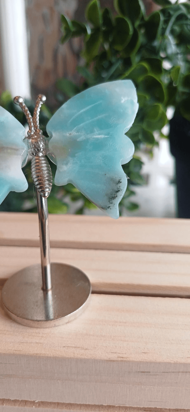 Caribbean Calcite Butterfly Wings on Silver Stand