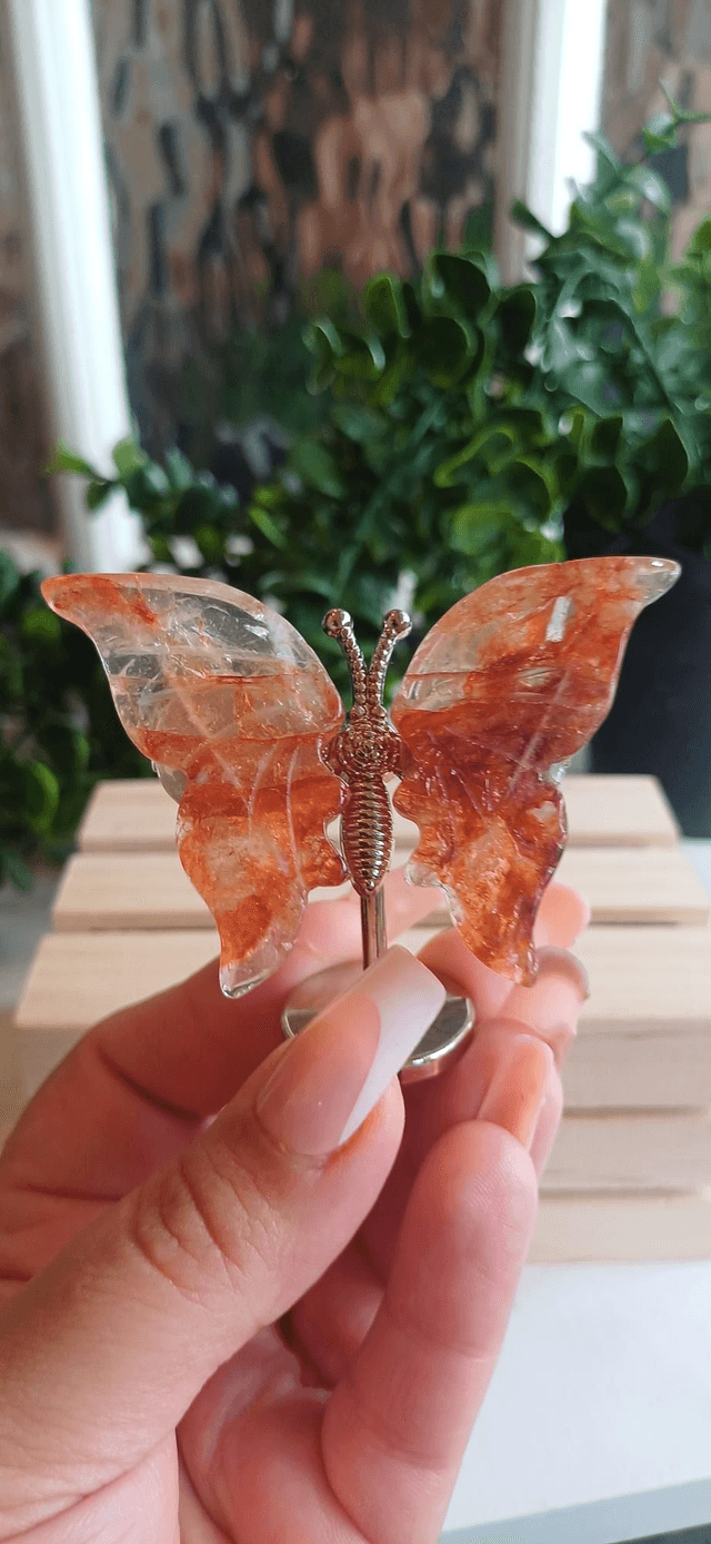 Fire Quartz Butterfly Wings on Silver Stand