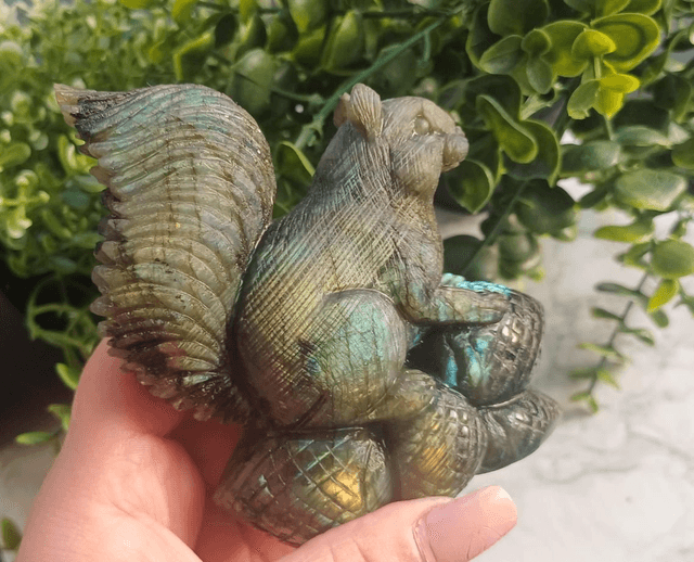High Quality Labradorite Squirrel