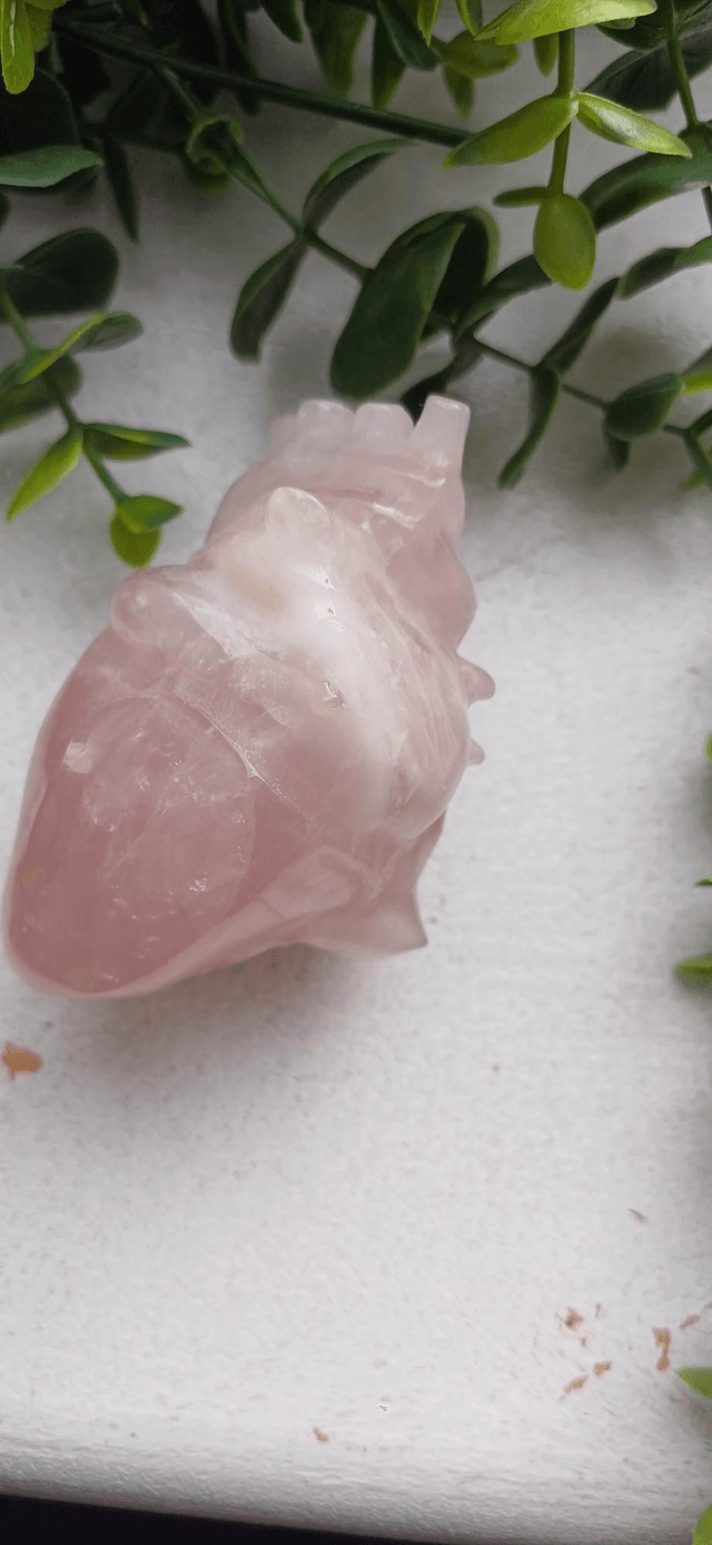Rose Quartz Anatomical Heart