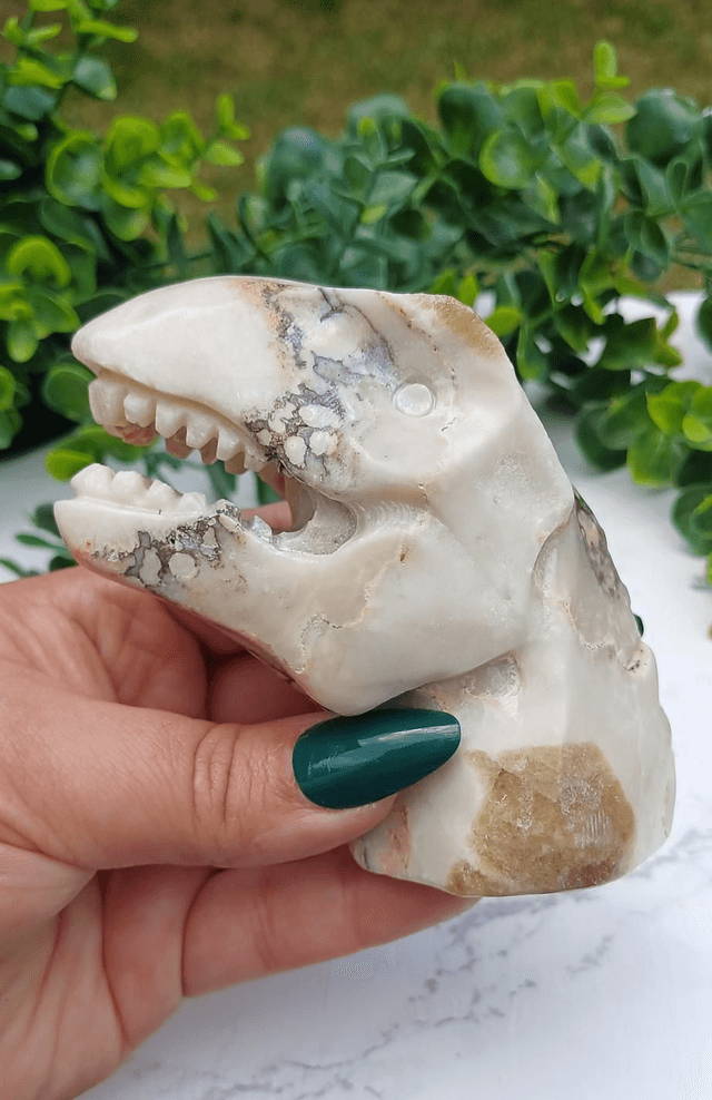 Coral Jade T-Rex Dinosaur Crystal | Natural Stone Carved and Polished Tyrannosaurus Rex Head 