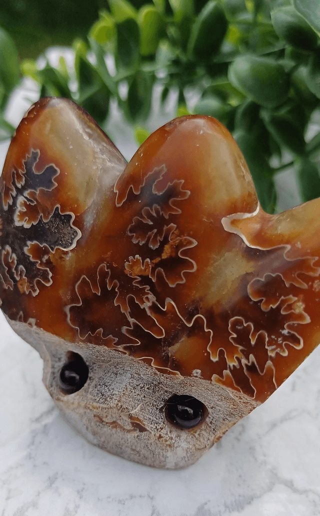 Crystal Critter Autumn. Ammonite 