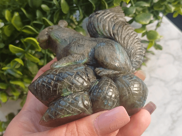 High Quality Labradorite Squirrel