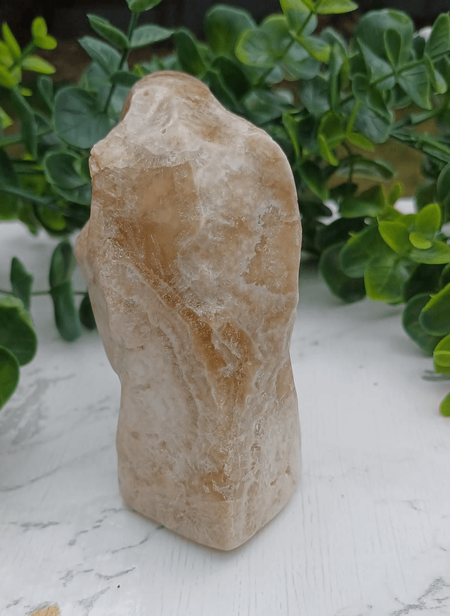 Amber Calcite T-Rex Dinosaur Crystal | Natural Stone Carved and Polished Tyrannosaurus Rex Head no. 2