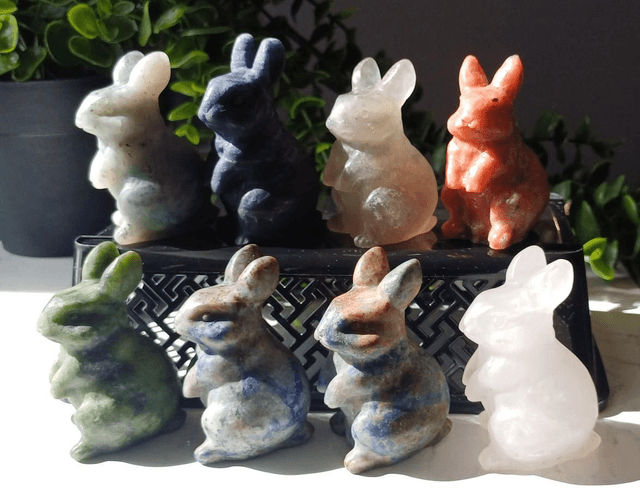 Bunny Rabbits
