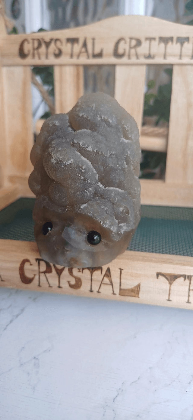 Oranda  - Crystal Critter