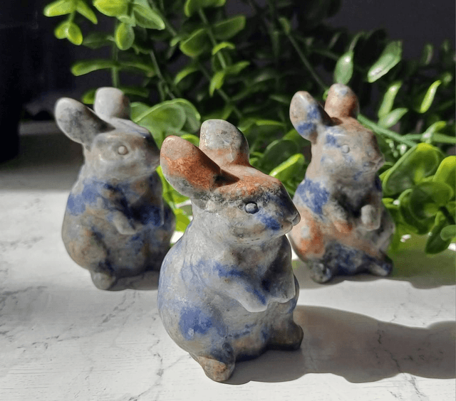 Bunny Rabbits