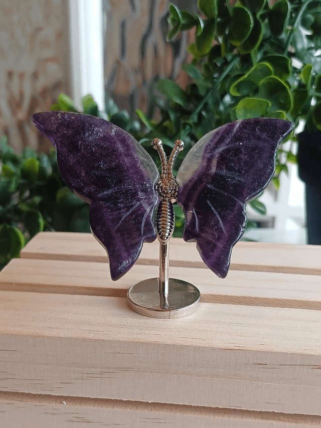 Fluorite Butterfly Wings on Silver Stand – Dark & Light Fluorite 
