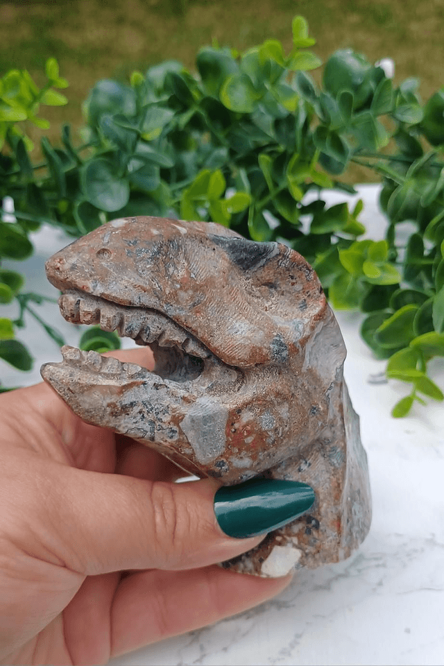 Money Agate T-Rex Dinosaur Crystal | Natural Stone Carved and Polished Tyrannosaurus Rex Head 