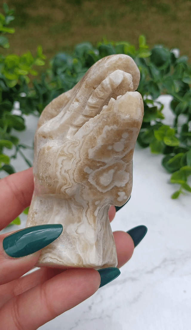 Amber Calcite T-Rex Dinosaur Crystal | Natural Stone Carved and Polished Tyrannosaurus Rex Head no. 2