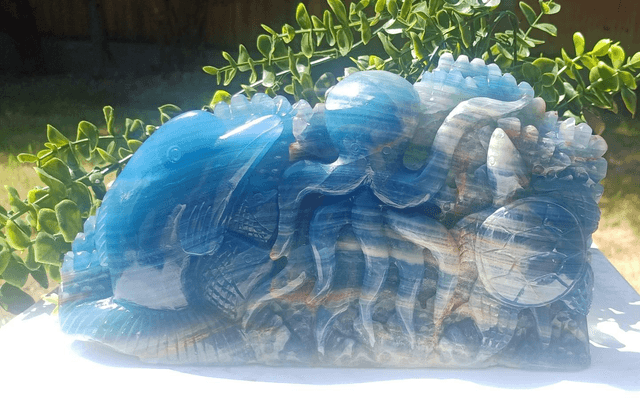 Blue Onyx Octopus, Dolphin, Fish Under the Sea