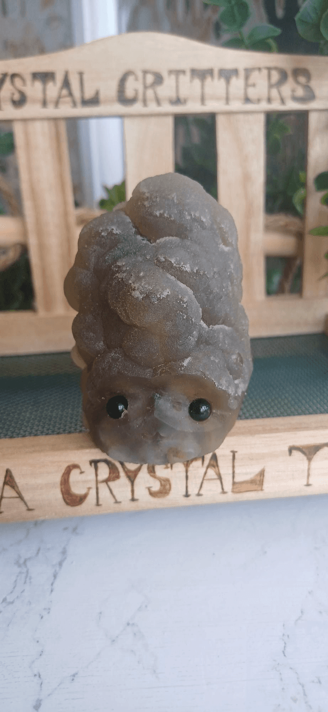 Oranda  - Crystal Critter