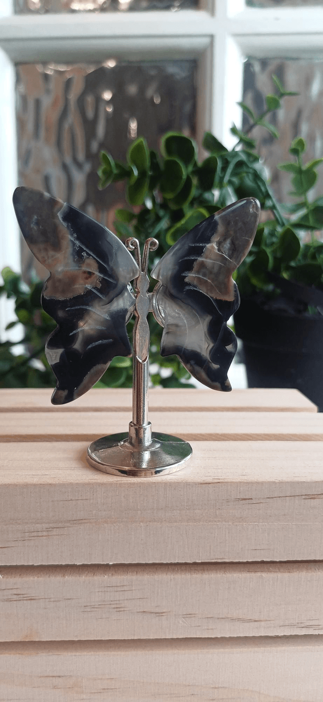 Volcano Agate Butterfly Wings on Silver Stand