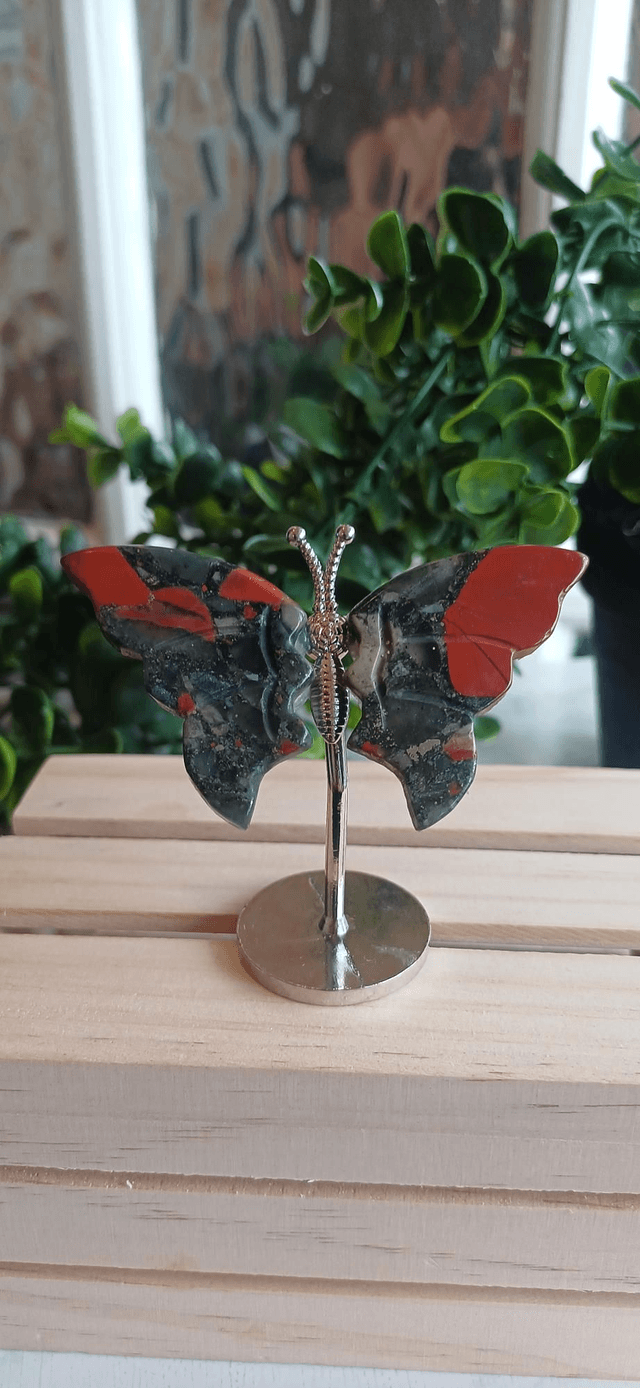 African Bloodstone Butterfly Wings on Silver Stand