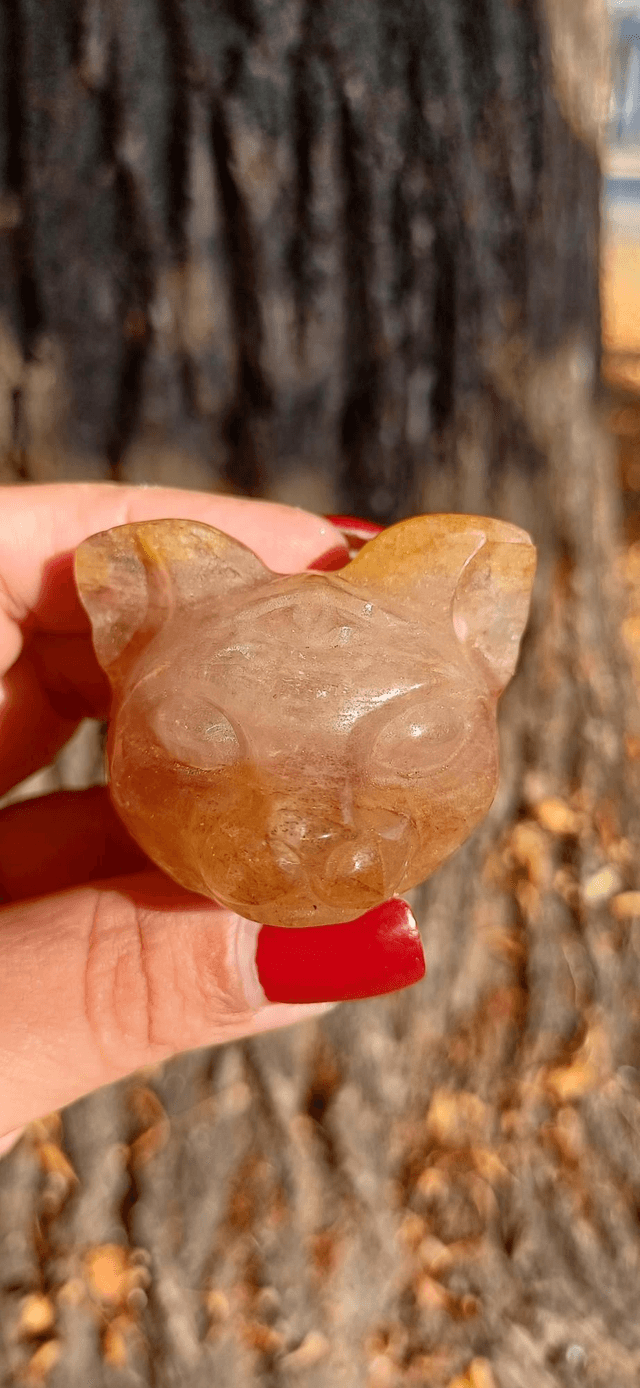 Golden Healer Third Eye Cat head
