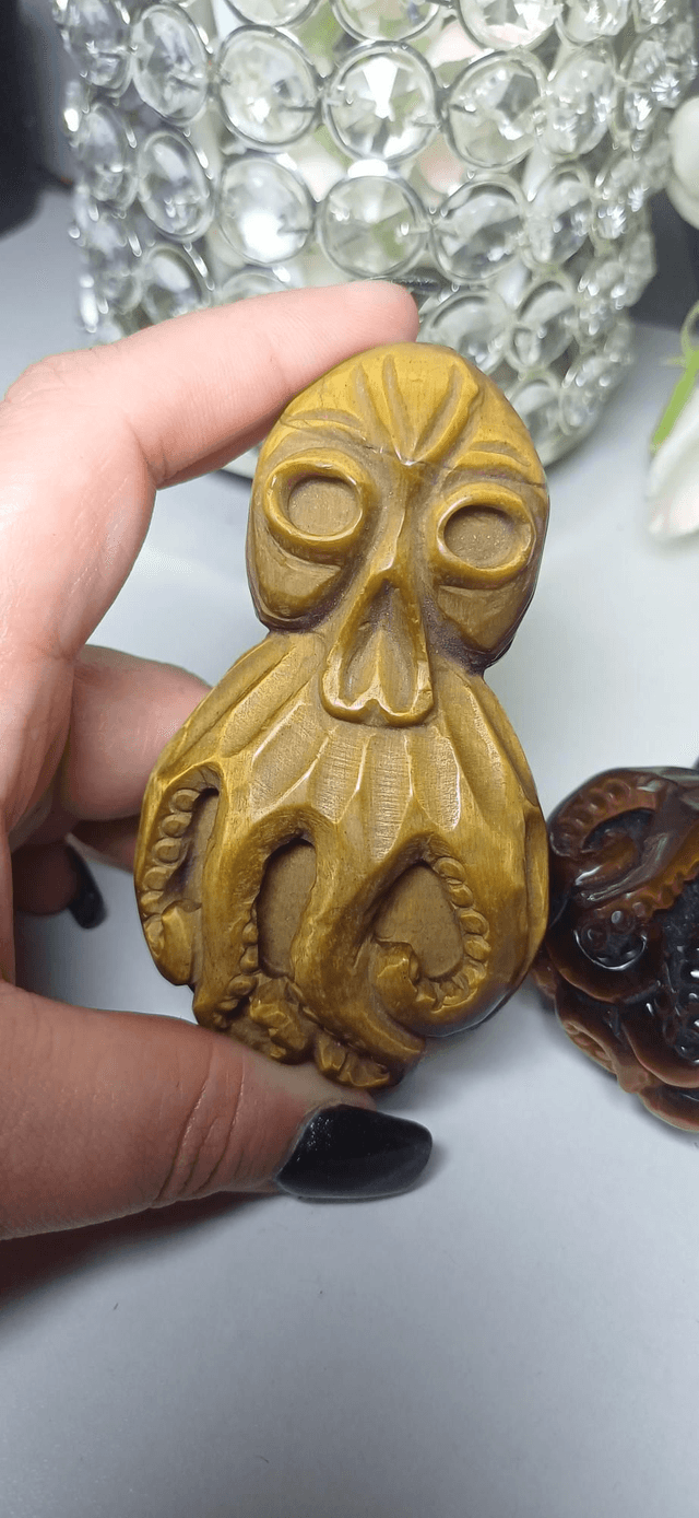 Tiger&#039;s Eye Octopus