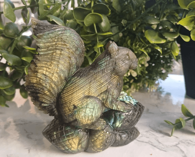 High Quality Labradorite Squirrel