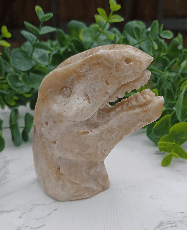 Amber Calcite T-Rex Dinosaur Crystal | Natural Stone Carved and Polished Tyrannosaurus Rex Head no. 2